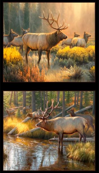 Morning Glory Elk Panel  by Elizabeth's Studio EP216