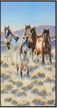 North American Wildlife Horse Panel  by Jodi Bergsma    EP157