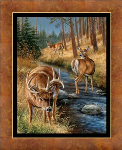 Spring Brook Panel by Rosemary Millette   EP174