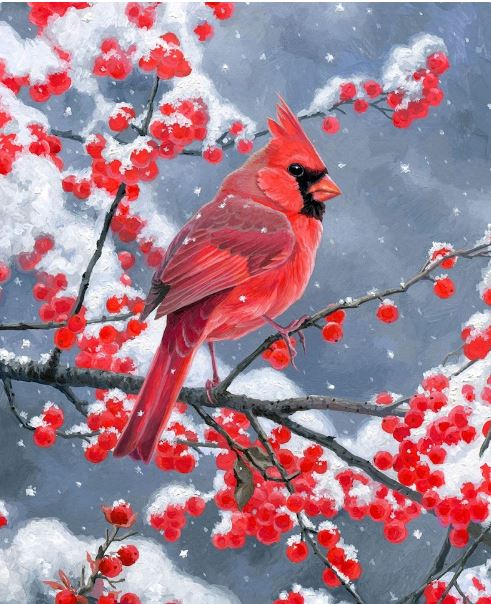 Winter Visitor Cardinal in Snow Panel