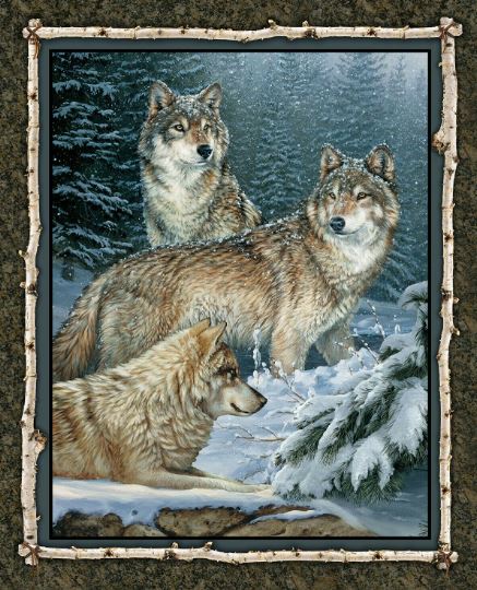 Wolf Wild Wolves Contemplation Panel  EP109